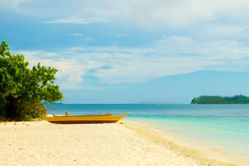 Exploring the Tranquil Beauty of Camano Island in Washington