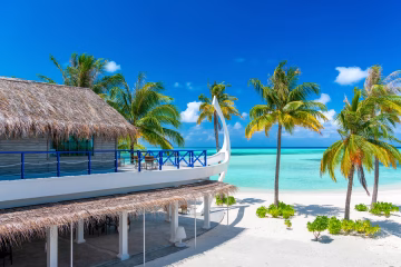 What Is Camano Island Known For?